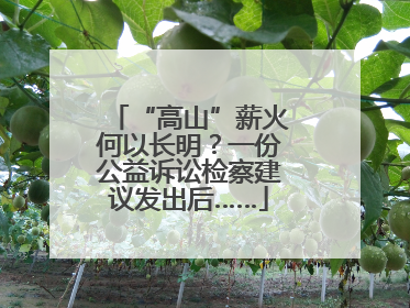 “高山”薪火何以长明？一份公益诉讼检察建议发出后……