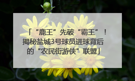 “鹿王”先破“霸王”！揭秘盐城3号球员进球背后的“农民街游侠”联盟