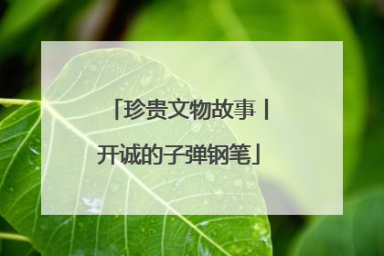 珍贵文物故事丨开诚的子弹钢笔
