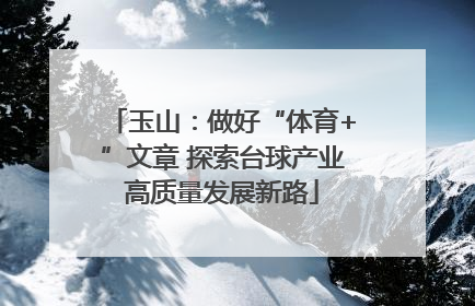 玉山：做好“体育+”文章 探索台球产业高质量发展新路