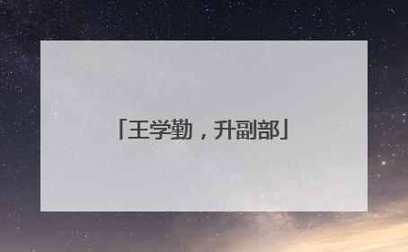 王学勤，升副部