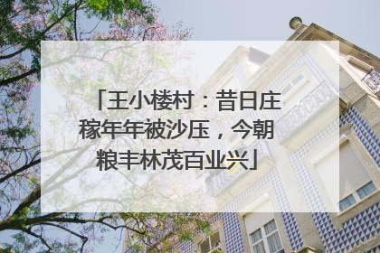 王小楼村：昔日庄稼年年被沙压，今朝粮丰林茂百业兴