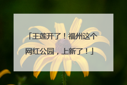 王莲开了！福州这个网红公园，上新了！