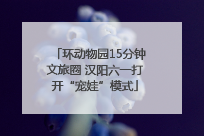 环动物园15分钟文旅圈 汉阳六一打开“宠娃”模式