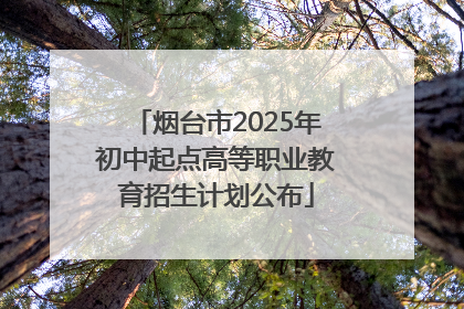 烟台市2025年初中起点高等职业教育招生计划公布