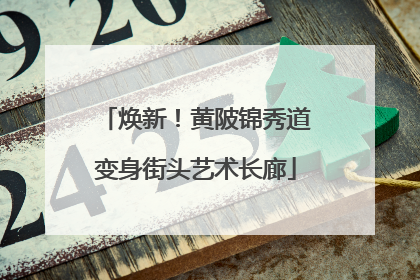 焕新！黄陂锦秀道变身街头艺术长廊