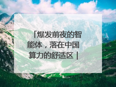 爆发前夜的智能体，落在中国算力的舒适区｜海斌访谈