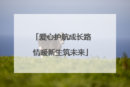 爱心护航成长路 情暖新生筑未来