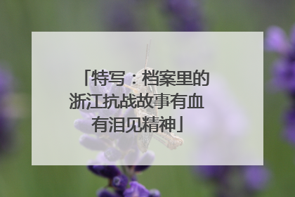 特写：档案里的浙江抗战故事有血有泪见精神