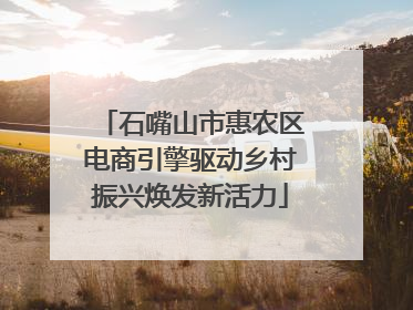 石嘴山市惠农区电商引擎驱动乡村振兴焕发新活力