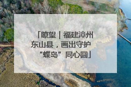 瞭望｜福建漳州东山县，画出守护“蝶岛”同心圆