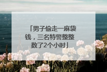 男子偷走一麻袋钱，三名特警整整数了2个小时