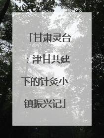 甘肃灵台：津甘共建下的针灸小镇振兴记