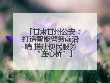 甘肃甘州公安：打造智能警务前沿哨 搭建便民服务“连心桥”