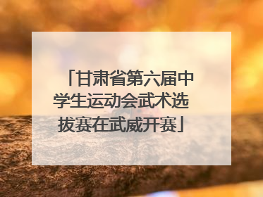 甘肃省第六届中学生运动会武术选拔赛在武威开赛