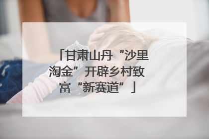 甘肃山丹“沙里淘金”开辟乡村致富“新赛道”