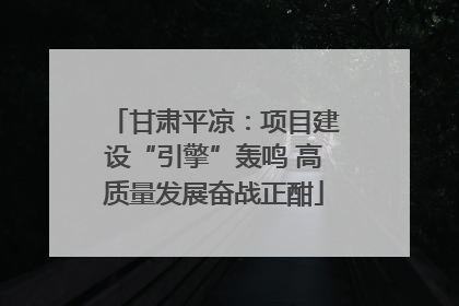甘肃平凉：项目建设“引擎”轰鸣 高质量发展奋战正酣