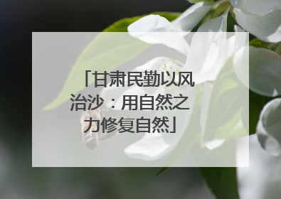 甘肃民勤以风治沙：用自然之力修复自然