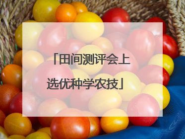 田间测评会上选优种学农技