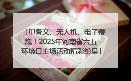 甲骨文、无人机、电子鞭炮！2025年河南省六五环境日主场活动精彩纷呈