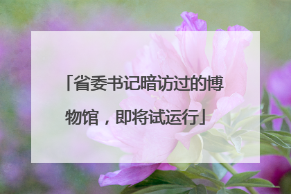 省委书记暗访过的博物馆，即将试运行