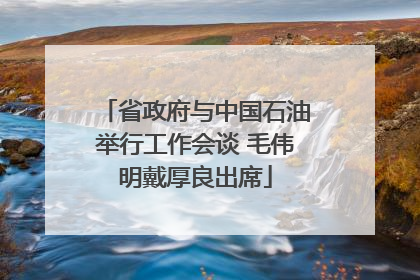 省政府与中国石油举行工作会谈 毛伟明戴厚良出席