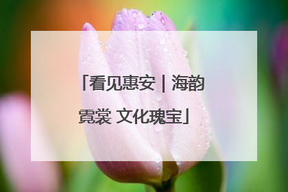 看见惠安｜海韵霓裳 文化瑰宝