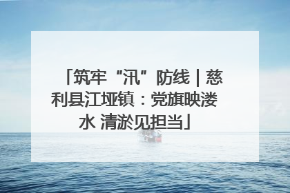 筑牢“汛”防线｜慈利县江垭镇：党旗映溇水 清淤见担当
