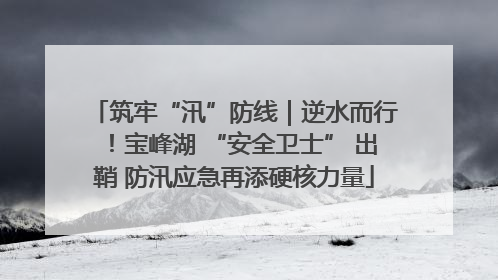 筑牢“汛”防线｜逆水而行！宝峰湖 “安全卫士” 出鞘 防汛应急再添硬核力量
