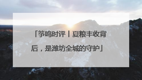 筝鸣时评丨夏粮丰收背后，是潍坊全城的守护