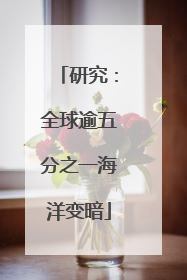 研究：全球逾五分之一海洋变暗