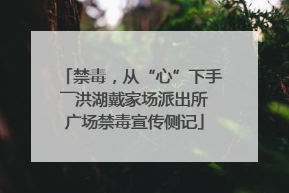 禁毒，从“心”下手――洪湖戴家场派出所广场禁毒宣传侧记