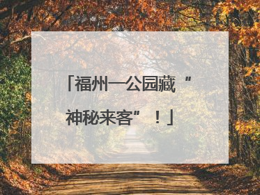 福州一公园藏“神秘来客”！