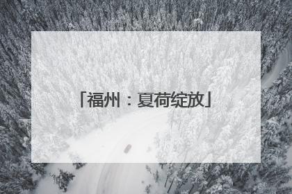 福州：夏荷绽放