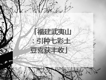 福建武夷山：引种七彩土豆喜获丰收