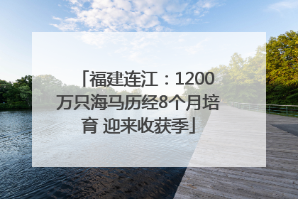 福建连江：1200万只海马历经8个月培育 迎来收获季
