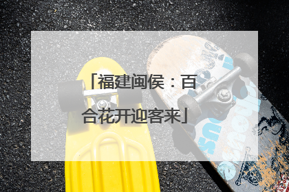 福建闽侯：百合花开迎客来