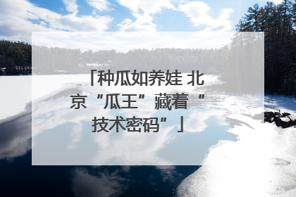 种瓜如养娃 北京“瓜王”藏着“技术密码”
