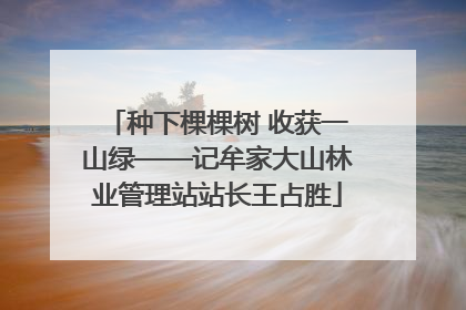 种下棵棵树 收获一山绿——记牟家大山林业管理站站长王占胜