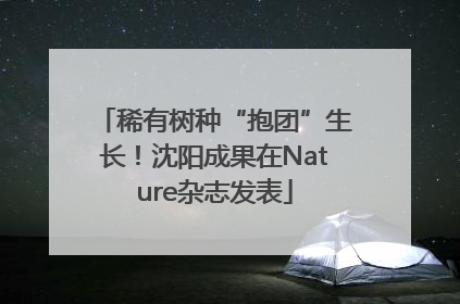 稀有树种“抱团”生长！沈阳成果在Nature杂志发表