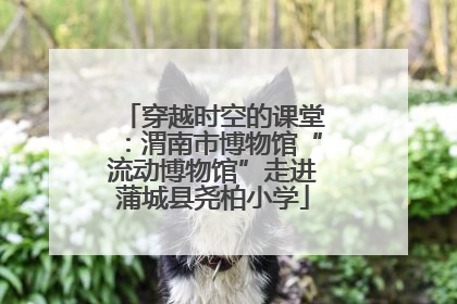 穿越时空的课堂：渭南市博物馆“流动博物馆”走进蒲城县尧柏小学