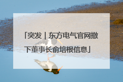 突发｜东方电气官网撤下董事长俞培根信息