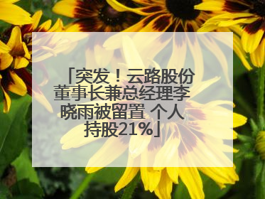 突发！云路股份董事长兼总经理李晓雨被留置 个人持股21%