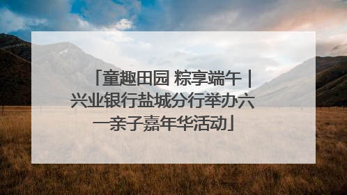 童趣田园 粽享端午｜兴业银行盐城分行举办六一亲子嘉年华活动