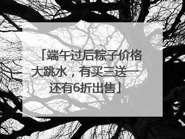 端午过后粽子价格大跳水，有买三送一还有6折出售