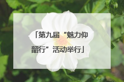 第九届“魅力仰韶行”活动举行