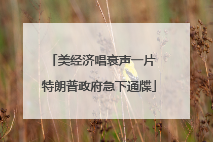 美经济唱衰声一片 特朗普政府急下通牒