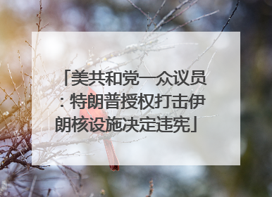 美共和党一众议员：特朗普授权打击伊朗核设施决定违宪