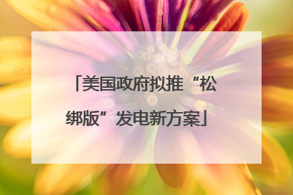 美国政府拟推“松绑版”发电新方案