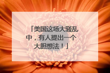美国这场大骚乱中，有人提出一个大胆想法！